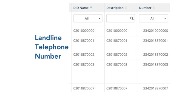 Landline telephone number